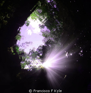 Trasicion by Francisco F Kyle 